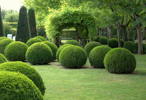 7 признаков ухоженного сада, при которых участок выглядит идеально
